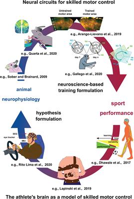 Future Portrait of the Athletic Brain: Mechanistic Understanding of Human Sport Performance Via Animal Neurophysiology of Motor Behavior